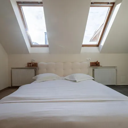 아파트 Central Apartments 브라쇼브