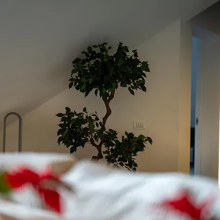 Central Apartments Appartement *