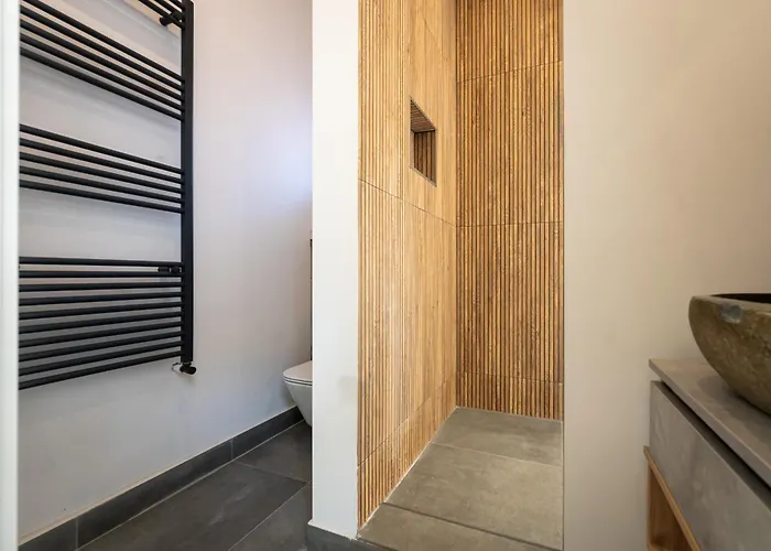 Central Apartments Μπρασόβ